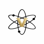Vanderbilt Fusion Initiative
